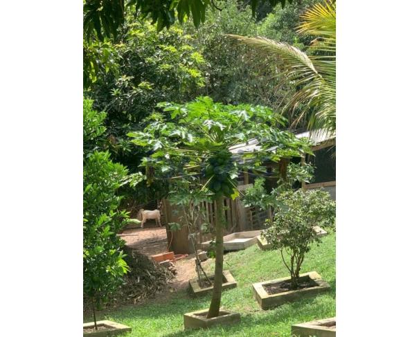 Foto de Casa de Condomínio - 510m²