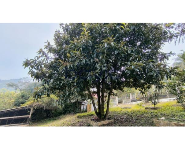 Foto de Casa de Condomínio - 510m²