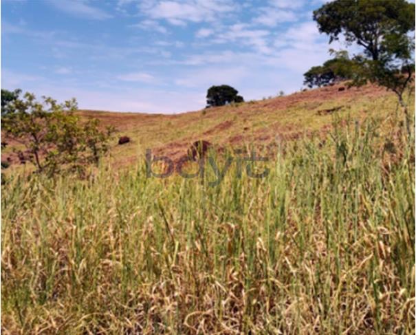 Foto de Terreno - 121.000 m²