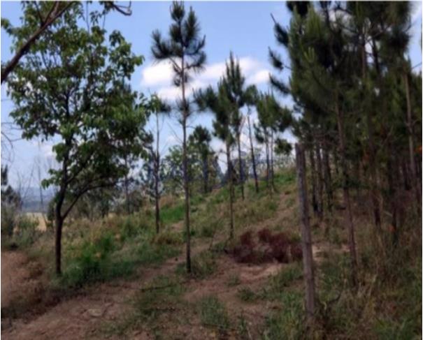 Foto de Terreno - 287.449,81 m²