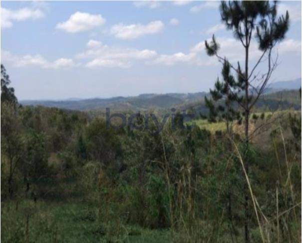 Foto de Terreno - 287.449,81 m²