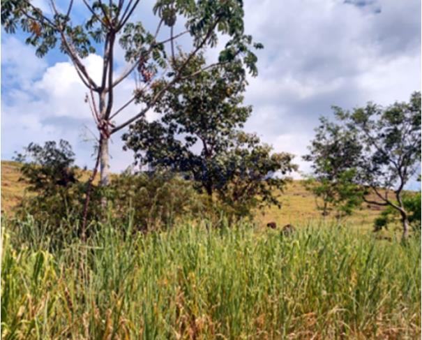 Foto de Terreno - 121.000 m²