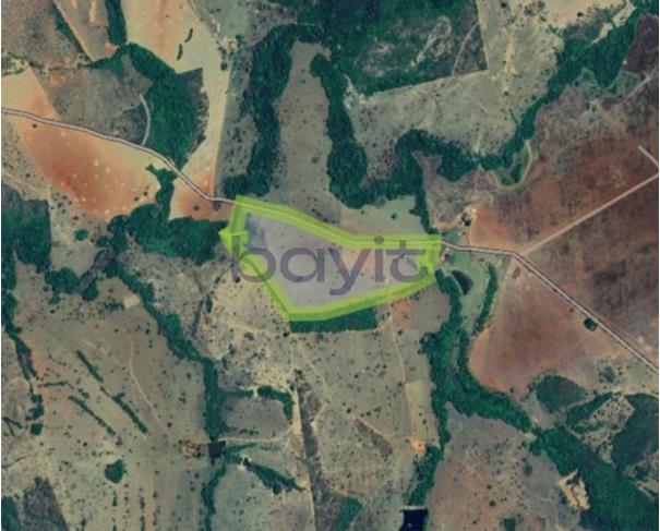 Foto de Fazenda - 26,4182 ha