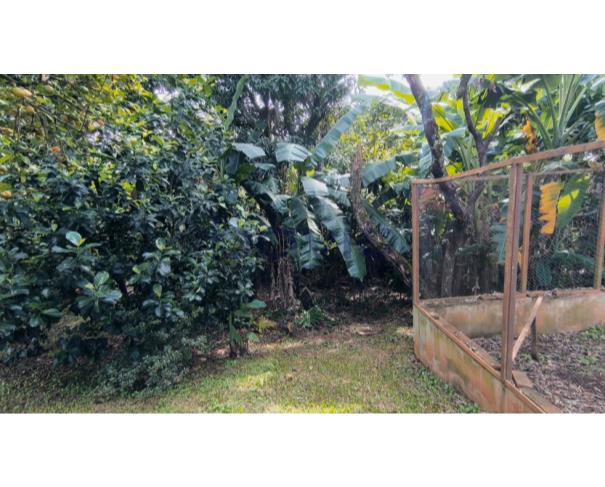 Foto de Casa - 548,2m²