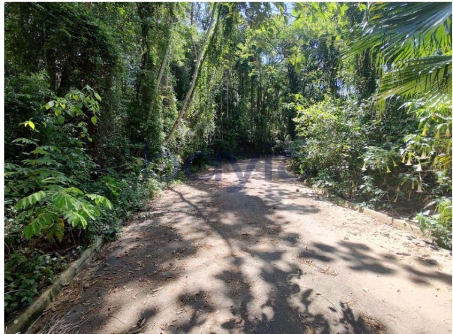 Santana de parnaíba - sp - terreno - 1.043,00m²