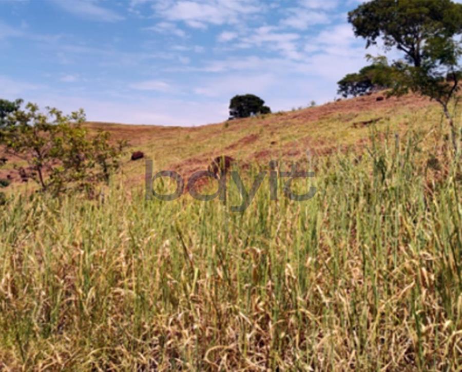 Terreno em Leilão em Santa Helena / PR - 194313