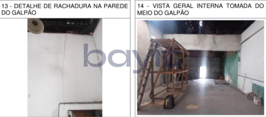 miniatura-2