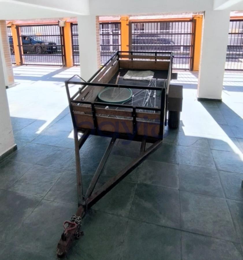 miniatura-4